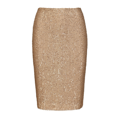 Sparkey skirt